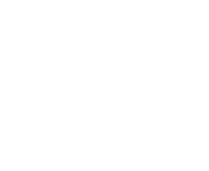 Patmore-Feeds_Logo_white_sml